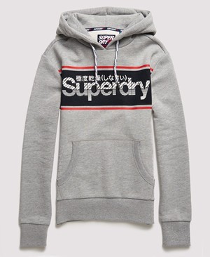 Superdry Retro Sport Férfi Kapucnis Pulóver Szürke | QGKRN6543